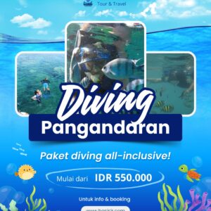 Diving Pangandaran